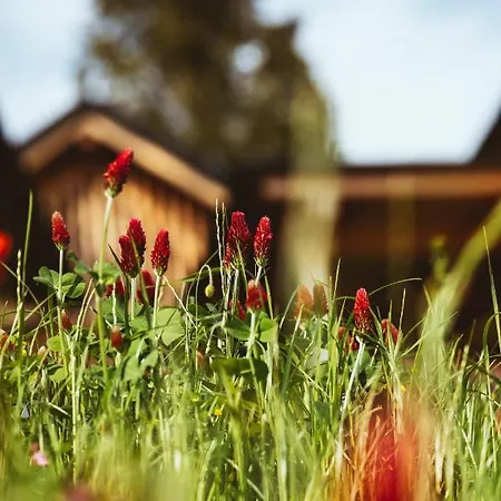 Hotel Hideaway Montestyria & Mariazell