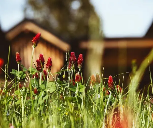 Hotel Montestyria Chalets&suiten Mariazell